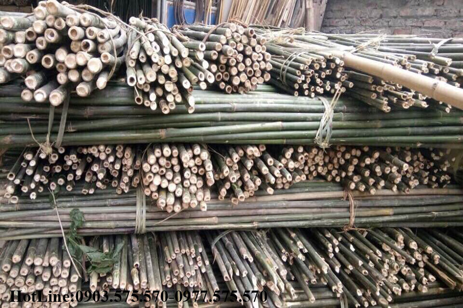 cọc tre xây dựng quảng ngãi